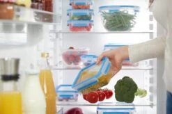 Tefal Masterseal Vershouddoos - 100% Lekvrij - 0,55L - Rechthoekig 17 Tefal Masterseal Vershouddoos - 100% Lekvrij - 0,55L - Rechthoekig -Tefal Verkoopwinkel 1200x799 21