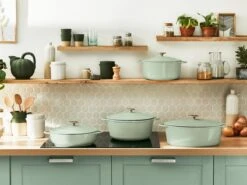 Tefal LOV Braadpan - 5L - Ø25 Cm - Groen -Tefal Verkoopwinkel 1200x900 3