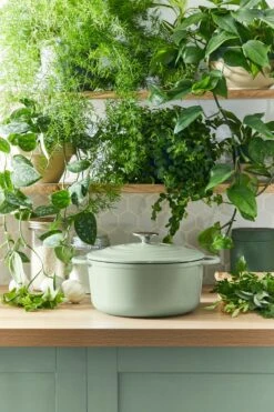 Tefal LOV Braadpan - 5L - Ø25 Cm - Groen -Tefal Verkoopwinkel 800x1200 10