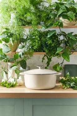 Tefal LOV Braadpan - 5L - Ø25 Cm - Beige 24 Tefal LOV Braadpan - 5L - Ø25 Cm - Beige -Tefal Verkoopwinkel 800x1200 8